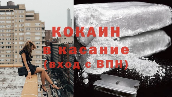 твердый Алзамай