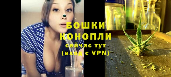 молекула духа Новодвинск