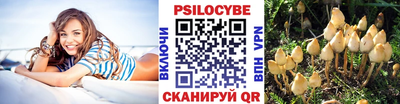 Псилоцибиновые грибы Magic Shrooms Тосно