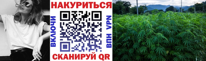 где можно купить наркотик  Тосно  Канабис сатива 